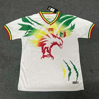 เสื้อกีฬาแขนสั้น ลายทีมชาติฟุตบอล Africa Cup of Nations Mali White Eagles Jersey ไซซ์ S - XXL 23-24 ชุดเหย้า สําหรับผู้ชาย