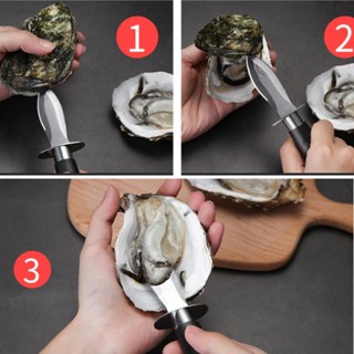 มีด มีดแกะหอยนางรม มีดแคะหอย Oyster knife