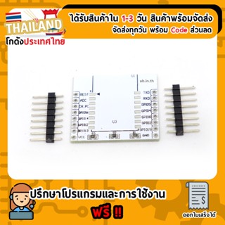 แผ่นปริ้น Esp8266 (ESP8266 PCB) + ก้างปลา