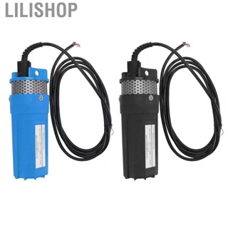 Lilishop  Well Water Pump 6.5L Submersible Deep Well Water Pump 12V DC for  Water Needs