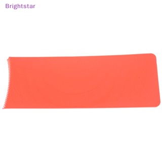 Brightstar หวีแปรงย้อมสีผม แบบมืออาชีพ