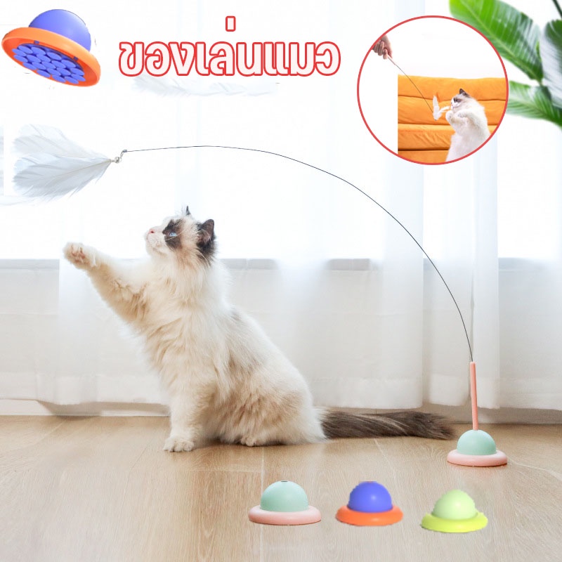🐱พร้อมส่ง ของเล่นแมว ไม้ล่อแมว ไม้แหย่แมว ของเล่นก้านยาว สีรุ้งปลายขน ไม้ตกแมวแบบสปริง  มีถ้วยดูด 19 ใบ ขนนก ถอดออกได้