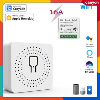 Homekit + Cozylife Mini Smart Switch Module Timing Countdown Function Support 2 Ways Control Smart Speaker Voice Control Easy To Install canyon