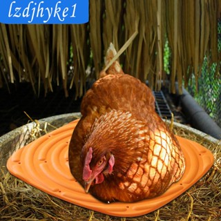 [Lzdjhyke1] แผ่นรังไก่ ซักล้างได้ 4 แพ็ค