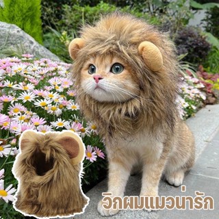 หมวกสัตว์เลี้ยง หมวกวิกผม รูปสิงโตน่ารัก เหมาะกับฮาโลวีน