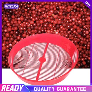 [Iniyexa] ตะกร้าใส่เบอร์รี่ ทําความสะอาด สําหรับ Lingonberries Currants