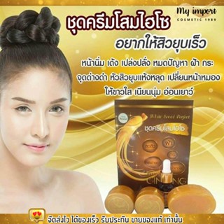 ชุดครีมโสมไฮโซ ครีมโสม หน้ากระจ่างใส ลดฝ้า กระ ลดสิว จุดด่างดำ หน้าขาวใส White Seoul Perfect