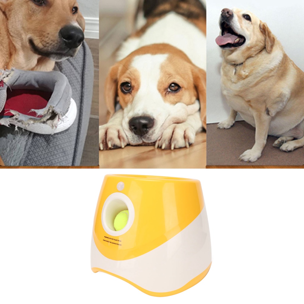 Pets Shop Dog Automatic Ball Launcher Interactive Pet Thrower เกมขว้างปาสำหรับกลางแจ้งในร่ม