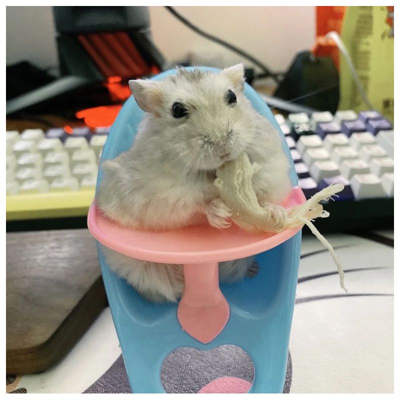 ของเล่นหนูแฮมสเตอร์ หนูแฮมสเตอร์น้อยรถเข็นที่นั่งขนาดเล็กของเล่นสนุกโต๊ะรับประทานอาหารสัตว์เลี้ยง