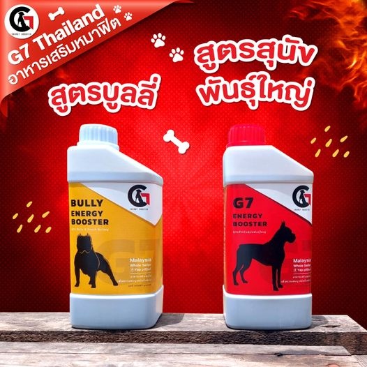 อาหารเสริมสุนัข วิตามินหมา แมว อาหารบำรุงสุนัข แมว G7 Energy Booster