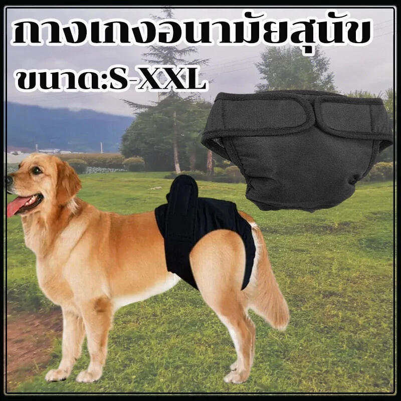 กางเกงอนามัยสุนัขDog Diaperผ้าอ้อมสุนัข ผ้าอ้อมหมา size ใหญ่ Physiological Pants Sanitary Washable Female Dog สีดำ