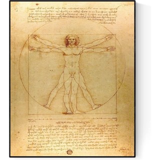 Leonardo Da Vincis Vitruvian Man Original Reproduction Art Print