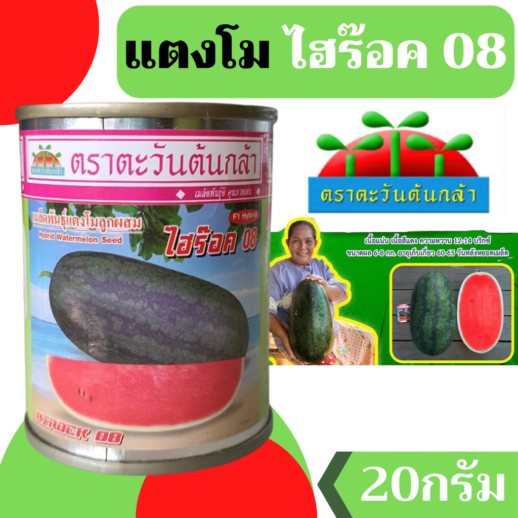 [กระป๋อง] ไฮร๊อค 08 แตงโม ตอปิโด 40กรัม ตราตะวันต้นกล้า ไฮร็อค08 แตงโมตอปิโด
