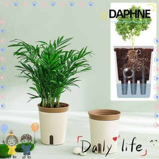 DAPHNE กระถางต้นไม้ไฮโดรโปนิก ดูดซับน้ํา สะดวกสบาย