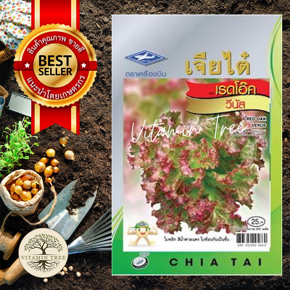 เมล็ดพันธุ์ ผักกาด หอมเรดโอ๊๊ค วีนัส