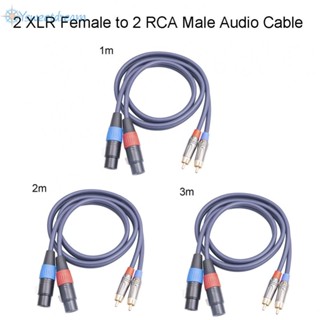 สายเคเบิลเครื่องขยายเสียงไมโครโฟน Dual XLR Female to Dual RCA Male HiFi 123 เมตร