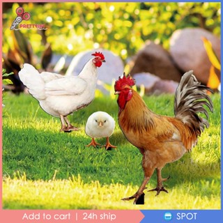 [Prettyia1] ป้ายไก่อะคริลิค สําหรับตกแต่งสวน นอกบ้าน ลานบ้าน