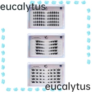 Eucalytus1 คลัสเตอร์ขนตาปลอม ที่ดูเหมือนต่อขนตา ขนมิงค์เทียม