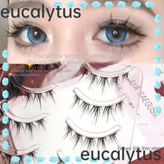 Eucalytus1 ขนตาปลอม แบบหนา ไฮบริด ลายปีศาจน้อย สําหรับผู้หญิง