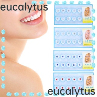 Eucalytus1 ฟันคริสตัล สําหรับตกแต่งเล็บ 10 ชิ้น ต่อกล่อง