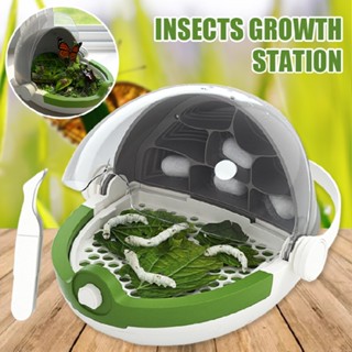 New Insect Growth Station Reptile Feeding Box Habitat Cage Silkworm Breeding Box