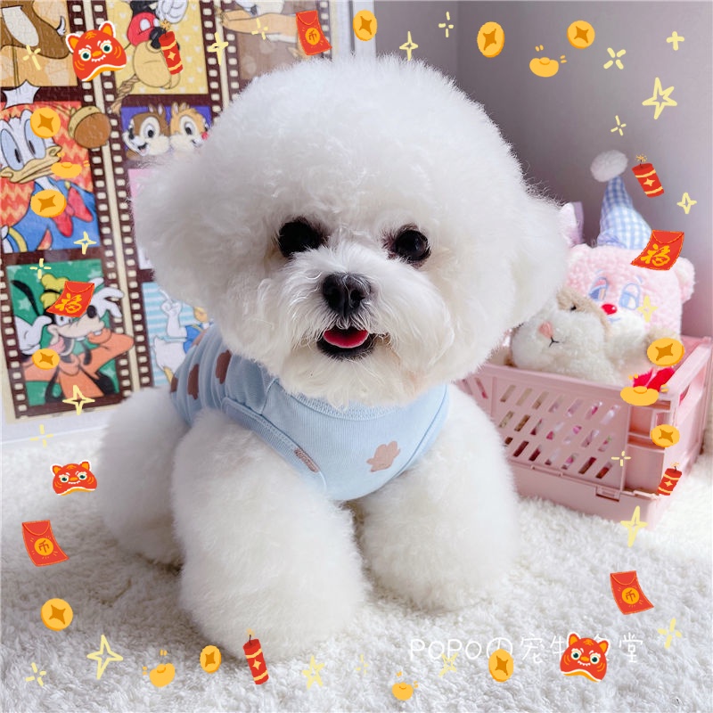 Oyes Teddy Or Bichon Summer Wear Cool Bear พิมพ ์ เสื ้ อกั ๊ กแขนกุดสําหรับสัตว ์ เลี ้ ยง