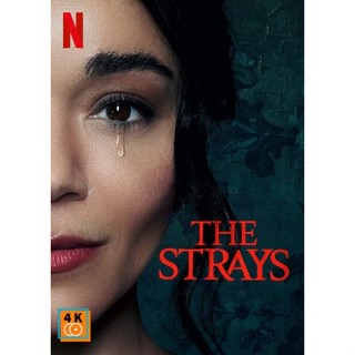 หนัง DVD ออก ใหม่ The Strays (2023) คนหลงทาง (เสียง ไทย /อังกฤษ | ซับ ไทย/อังกฤษ) DVD ดีวีดี หนังใหม่