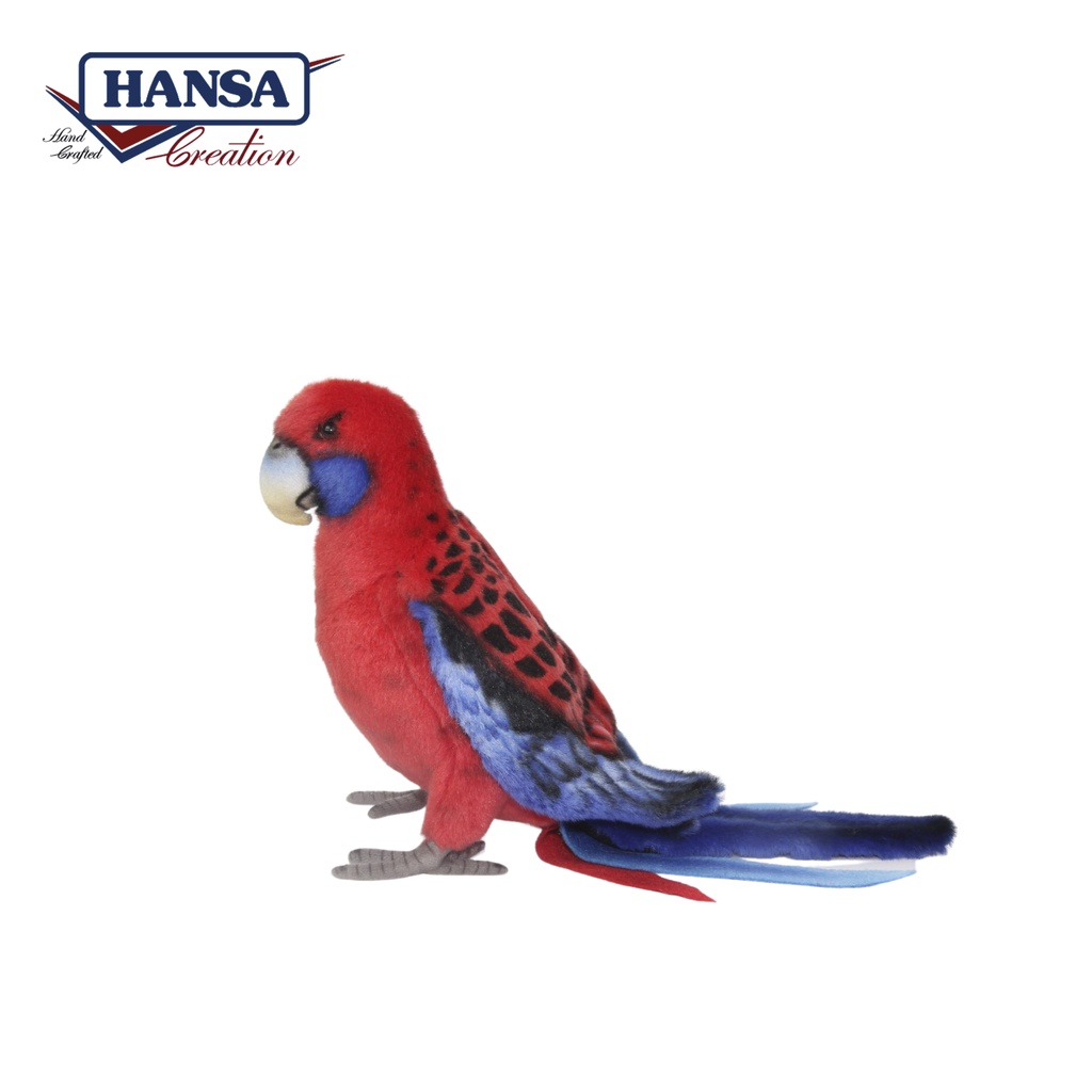8222 Crimson Rosella 30cm.L