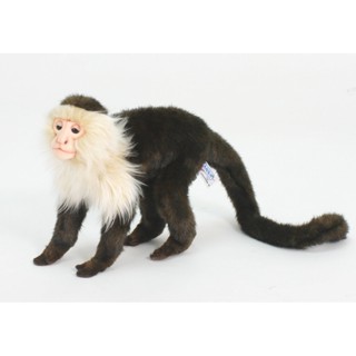 5852 ตุ๊กตาลิงคาปูชิน Monkey Capuchin Hansa Creation