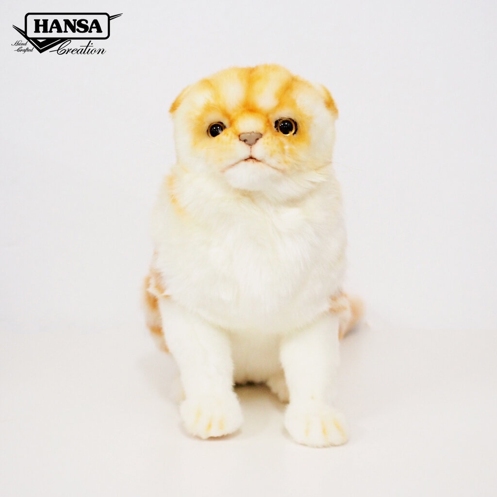 8156 Scottish Ginger Fold Cat 41 cm.L