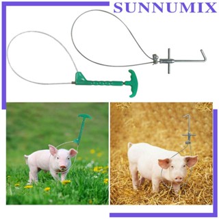 [Sunnimix] เสาจับหมู ทนทาน สําหรับสุนัข หมู ไวน์