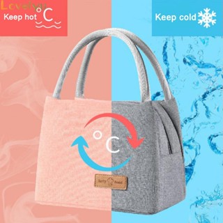 ⭐READY STOCK ⭐Insulated Lunch Bag Leakproof Lunch Box Oxford Cloth Lunch Pouch for Women Kids