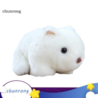 Chunrong ตุ๊กตาหนูแฮมสเตอร์จําลอง ขนาด 18 ซม. สําหรับตกแต่งบ้าน โซฟา