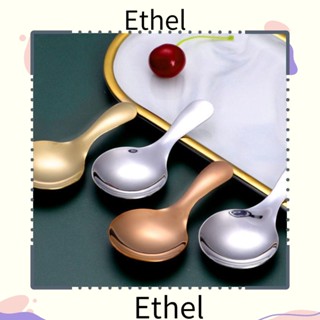 Ethel1 ช้อนสเตนเลส สําหรับตักไอศกรีม น้ําตาล เกลือ กาแฟ เครื่องปรุง 2 ชิ้น