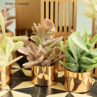 [little.coconut] กระถางต้นไม้ ดอกไม้จิ๋ว 1/6 1/8 สําหรับตกแต่งบ้านตุ๊กตา 1 ชิ้น