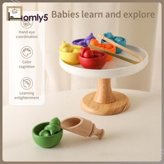 [Homyl5] ของเล่นลูกบอลไม้ Montessori สําหรับเด็กวัยหัดเดิน