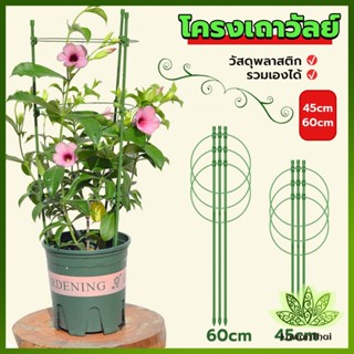 Lawan โครงเถาวัลย์ เสามะเขือเทศ โครงปลูก อุปกรณ์สำหรับพืชไม้เลื้อย 45cm 60cm plant trellis