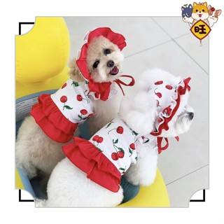 【รักมากมาย】ชุดว่ายน้ำบิกินี่/ลายเชอรี่น่ารัก/เสื้อผ้าสุนัข/ชุดว่ายน้ำสุนัขเล็ก/เสื้อหมา    เสื้อแมว