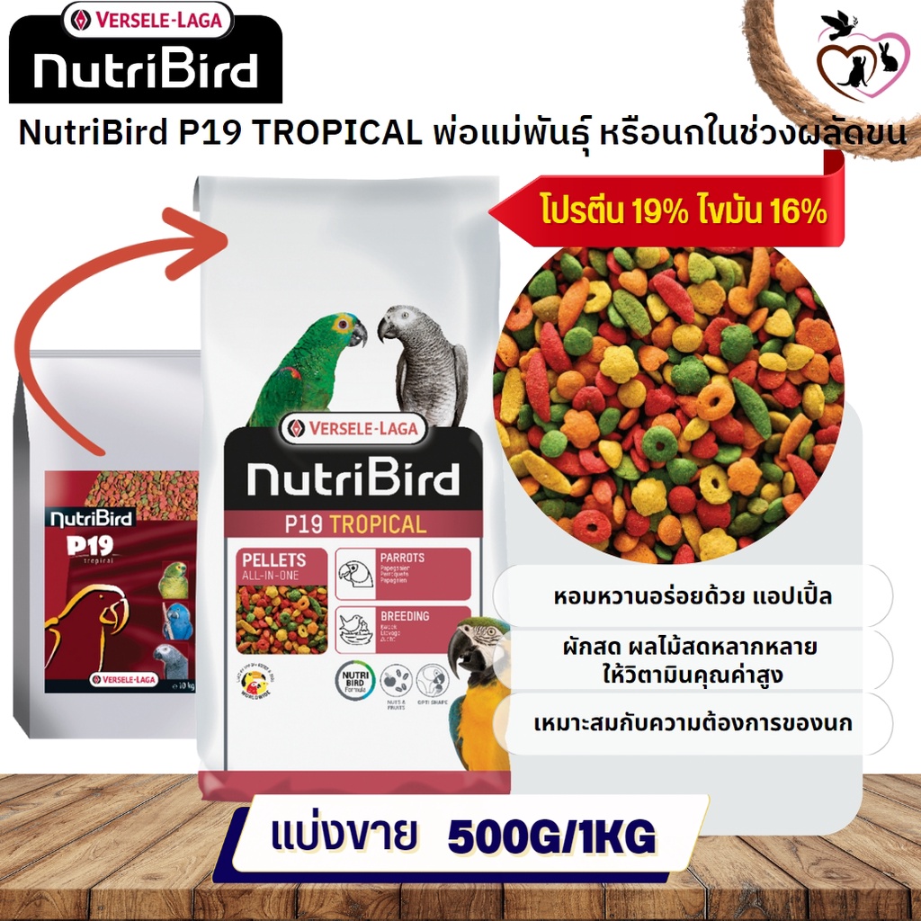 NutriBird P19 Tropical อาหารสำเร็จรูปอัดเม็ดสำหรับนกขนาดใหญ่ (แบ่งขาย 500G / 1KG)