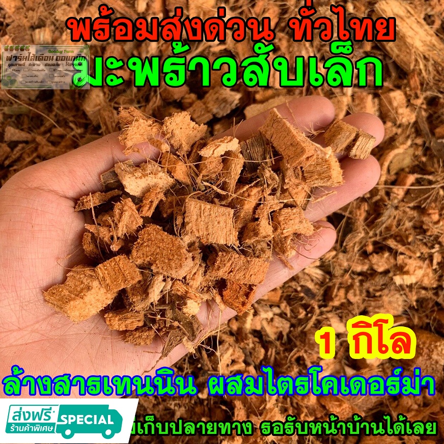มะพร้าวสับเล็ก 1 กิโลกรัม(ประมาณ10ลิตร) แบบแห้งเบาได้เยอะมาก ล้างสารเทนนิน ผสมเชื้อไตรโครเดอร์ม่า พร้อมใช้
