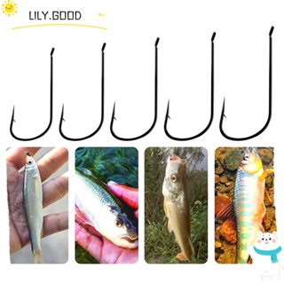 LILY ตะขอเบ็ดตกปลา 30 ชิ้น