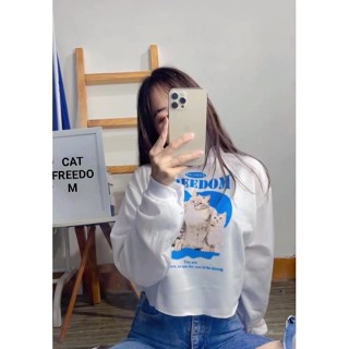 Jkfashion - RG เสื้อครอปกันหนาว คอเต่า ROCKISH LAKE ERIE CAT FREEDOM MADISON HARVARD