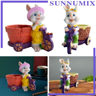 [Sunnimix] กระถางต้นไม้ ลายการ์ตูนกระต่ายน่ารัก สําหรับตกแต่งบ้าน ของขวัญวันหยุด