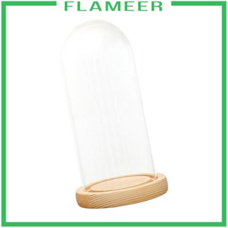 [Flameer] เคสแก้วใส ทรงโดมแก้ว ลายดอกไม้ สําหรับใส่เหรียญ ปาร์ตี้ งานแต่งงาน