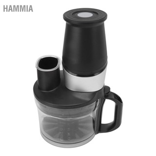 Hammia 10 In 1 เครื่องปั่นน้ําผลไม้ สเตนเลส 220V ปลั๊ก Eu