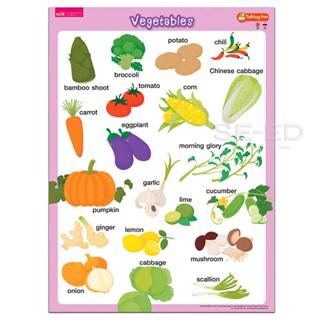 (Arnplern) : โปสเตอร์พลาสติก Vegetables (Talking Pen)