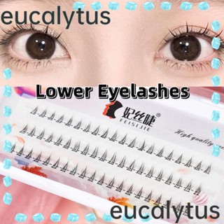 Eucalytus1 ขนตาล่าง ขนตาปลอม ยาว ส่วนล่าง ขนตาจําลองธรรมชาติ คลัสเตอร์เดี่ยว ขนตาสีดํา ผู้หญิง