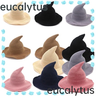 Eucalytus1 หมวกแม่มด ผ้าวูล ลายแม่มด แบบพับได้ สีพื้น สไตล์โมเดิร์น สําหรับปาร์ตี้ฮาโลวีน