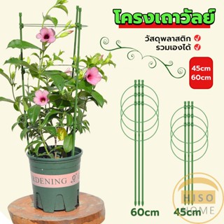 Hiso โครงเถาวัลย์ เสามะเขือเทศ โครงปลูก อุปกรณ์สำหรับพืชไม้เลื้อย 45cm 60cm plant trellis