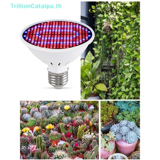 Trillioncatalpa หลอดไฟปลูกพืช Led 300 ดวง MR16 ฟูลสเปกตรัม 220V UV TH